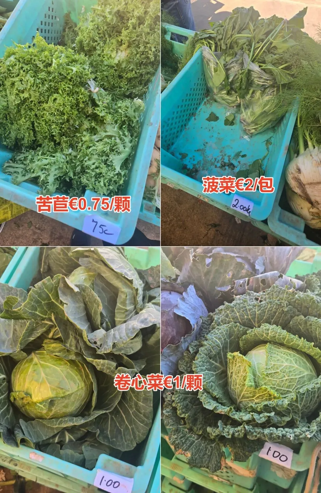 马耳他农民市场(Farmers Market Ta’Qali)3月28日菜价曝光