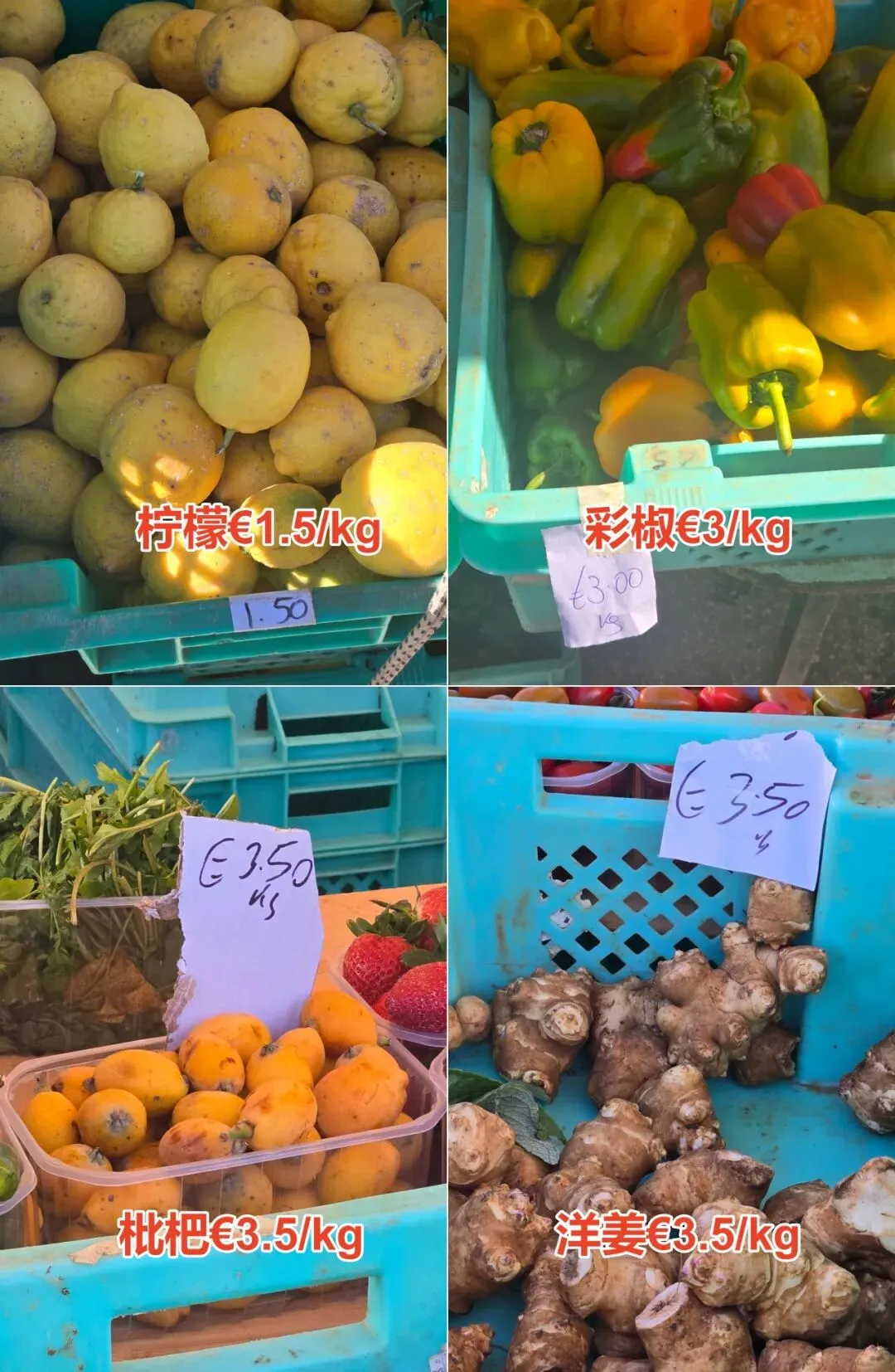 马耳他农民市场(Farmers Market Ta’Qali)3月28日菜价曝光