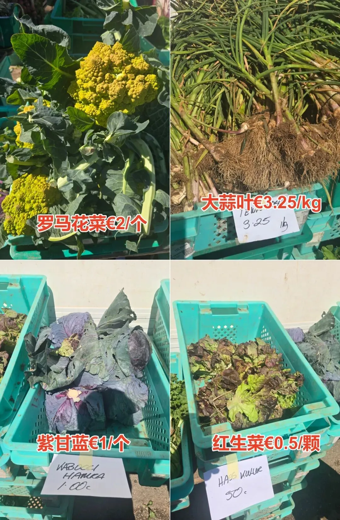 马耳他农民市场(Farmers Market Ta’Qali)3月28日菜价曝光