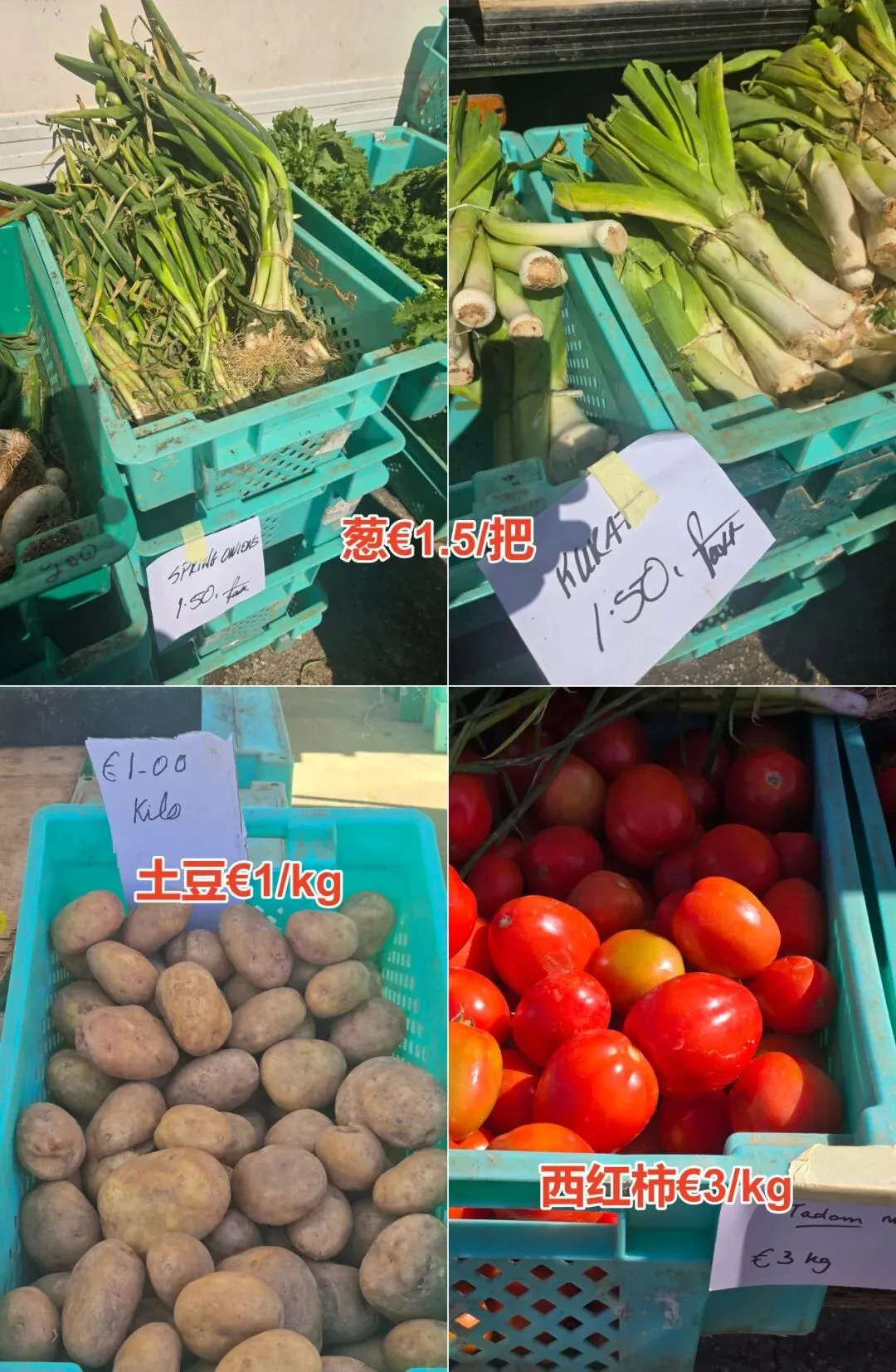 马耳他农民市场(Farmers Market Ta’Qali)3月28日菜价曝光