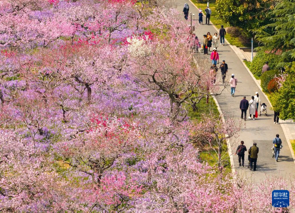 3.29 周日|国务院食安办、市场监管总局督办“3·15”晚会曝光问题整改(语音版)