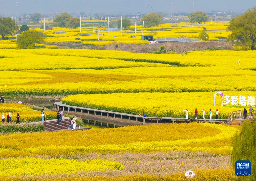 3.29 周日|国务院食安办、市场监管总局督办“3·15”晚会曝光问题整改(语音版)