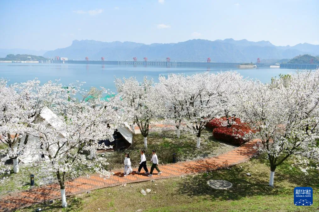 3.29 周日|国务院食安办、市场监管总局督办“3·15”晚会曝光问题整改(语音版)