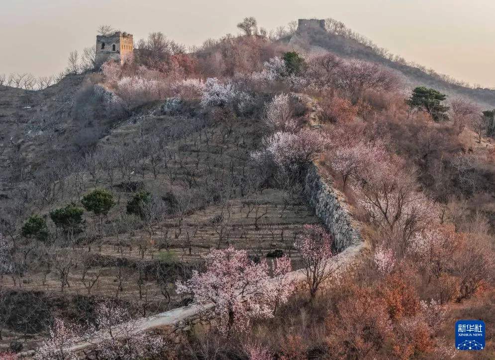 3.29 周日|国务院食安办、市场监管总局督办“3·15”晚会曝光问题整改(语音版)