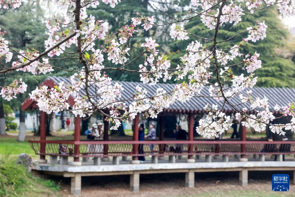 3.29 周日|国务院食安办、市场监管总局督办“3·15”晚会曝光问题整改(语音版)