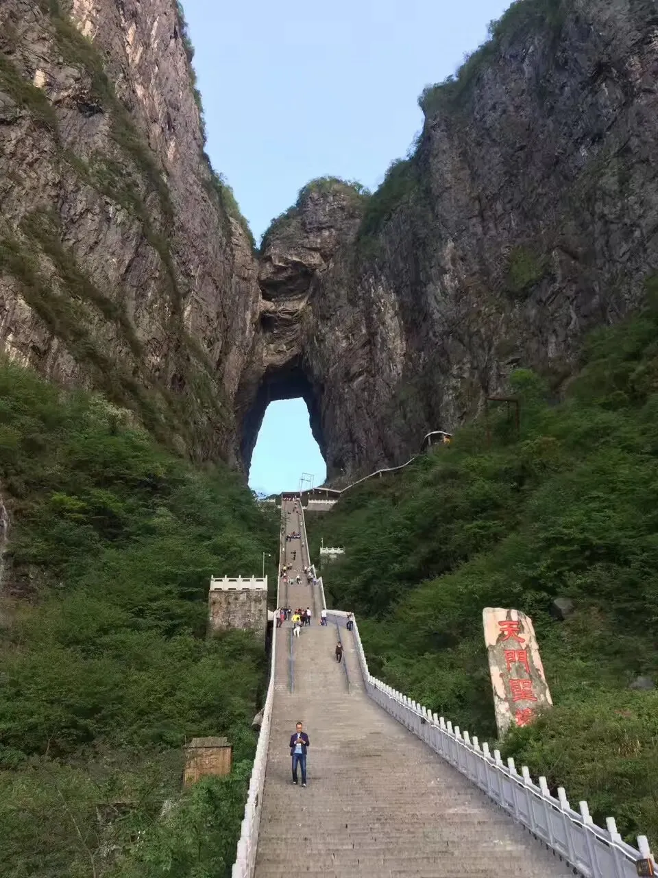 蘑菇农夫(高海龙)的营销历程和食用菌新产品推广案例分享