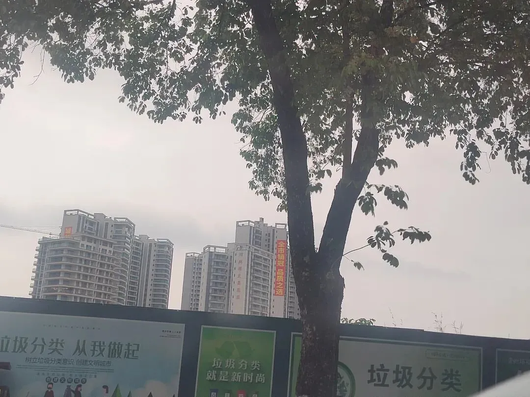 新兴稔村市场-杂记