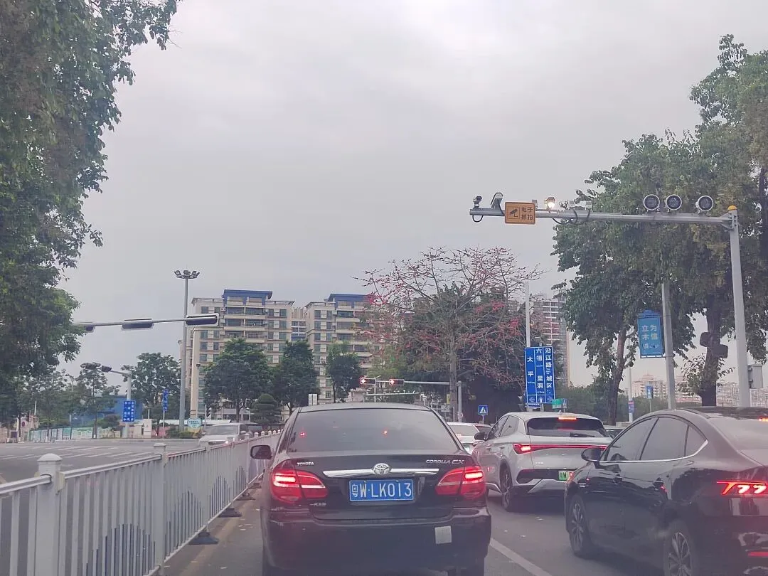 新兴稔村市场-杂记