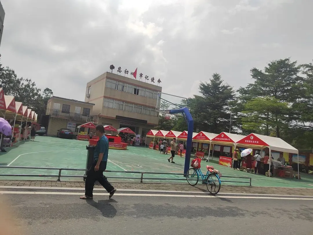 新兴稔村市场-杂记