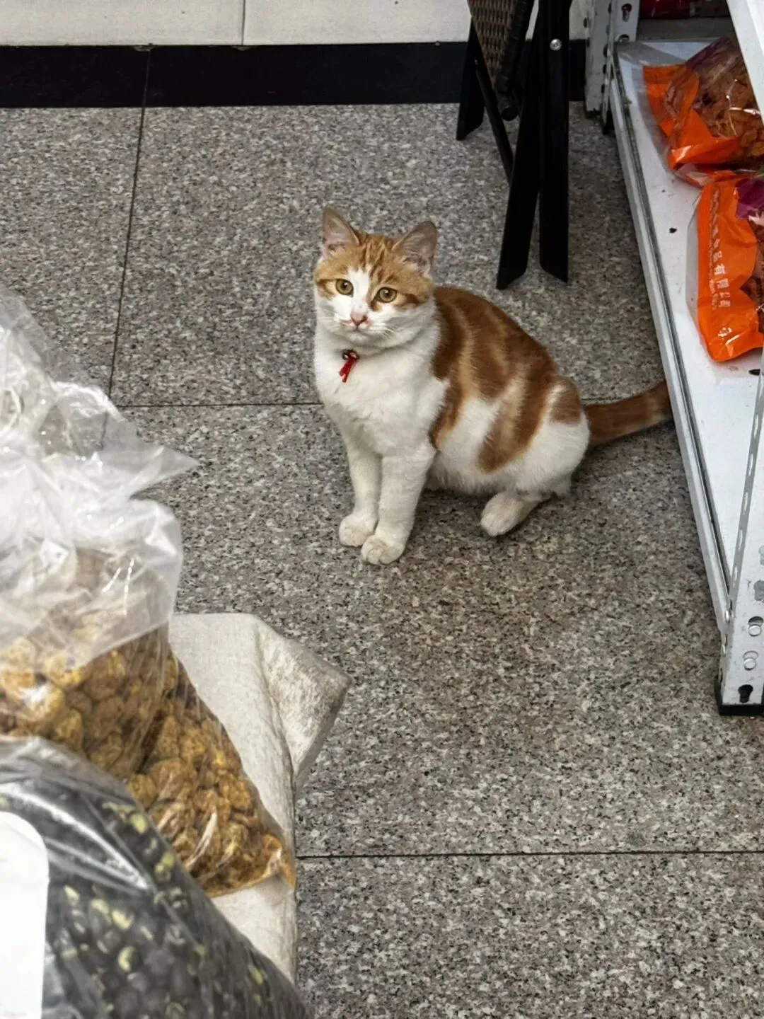 焦南市场:在时代的洪流里 打捞一座城的旧梦