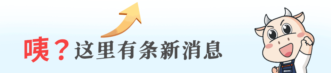 “作为管理者,就要在市场风浪面前挺身而出!”