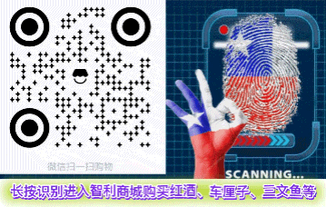 中东战火波及能源市场:智利财政部确认MEPCO机制调整将持续至少三周