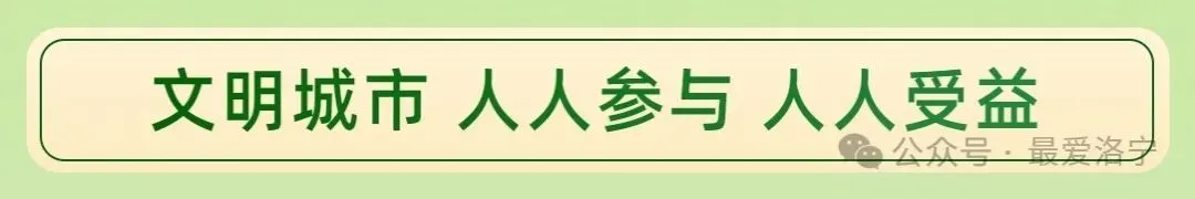 洛宁县文玩核桃交易市场开业