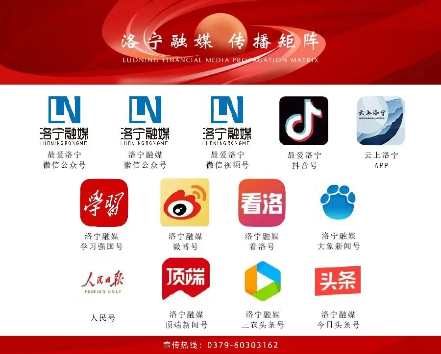 洛宁县文玩核桃交易市场开业