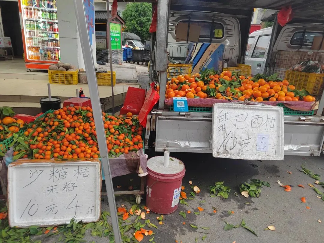 新兴稔村市场-杂记