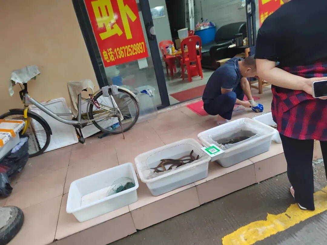 新兴稔村市场-杂记