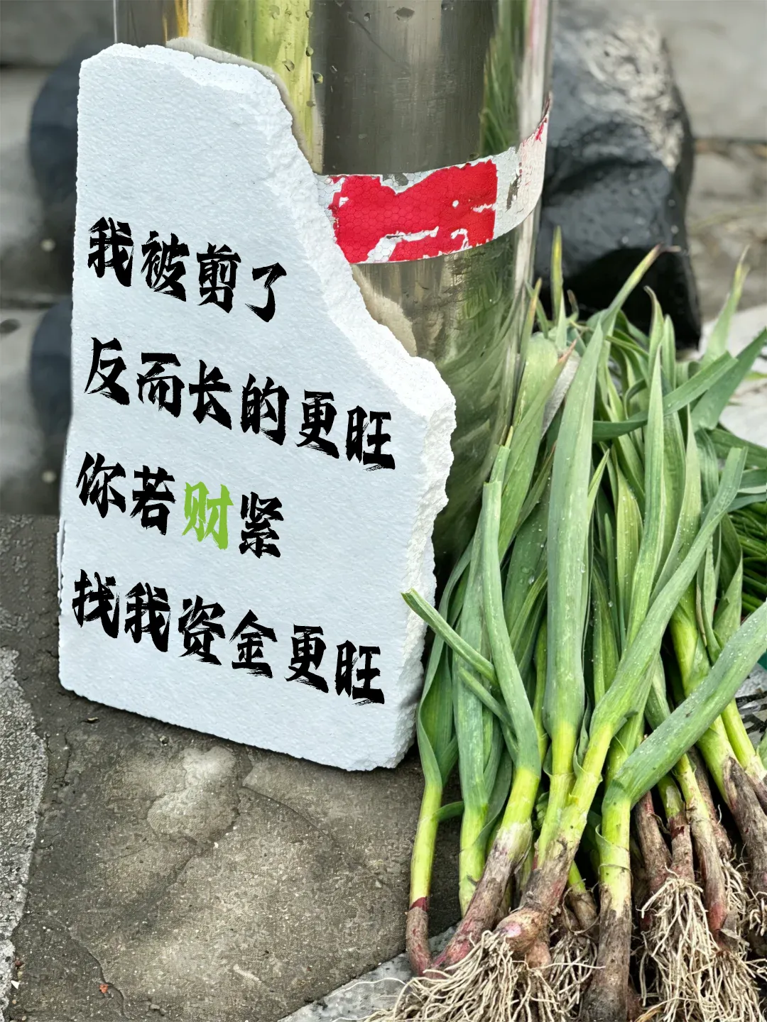 从春菜谐音梗到助贷营销:这波 “菜” 言 “菜” 语文案,直接用(下)