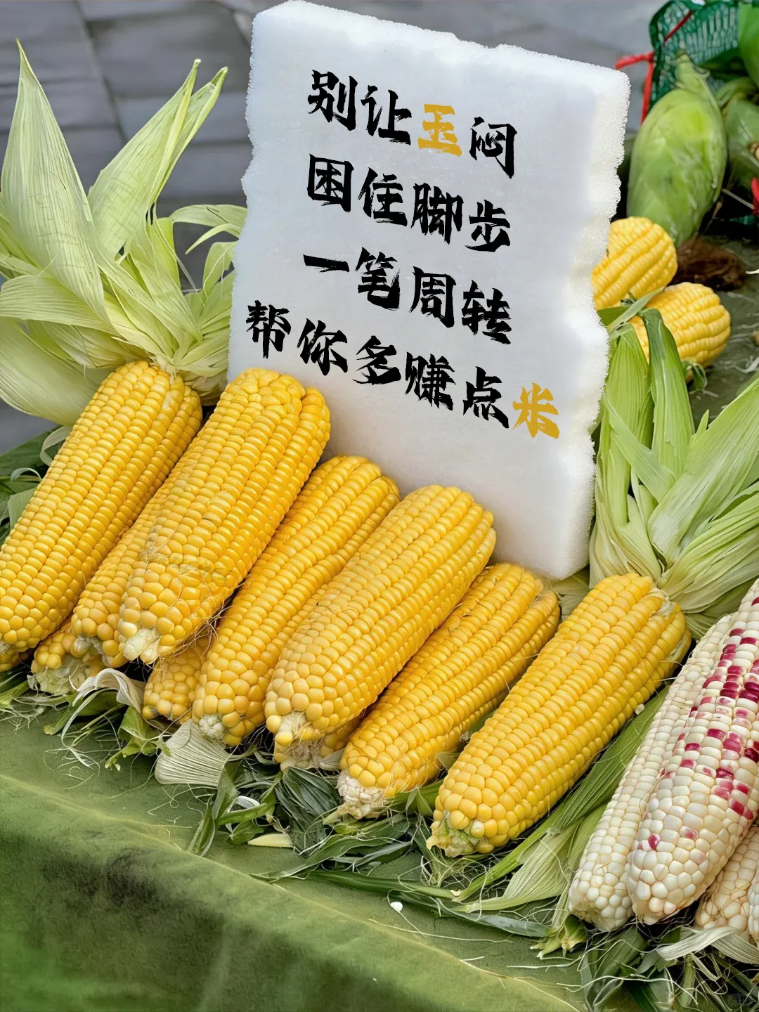 从春菜谐音梗到助贷营销:这波 “菜” 言 “菜” 语文案,直接用(下)