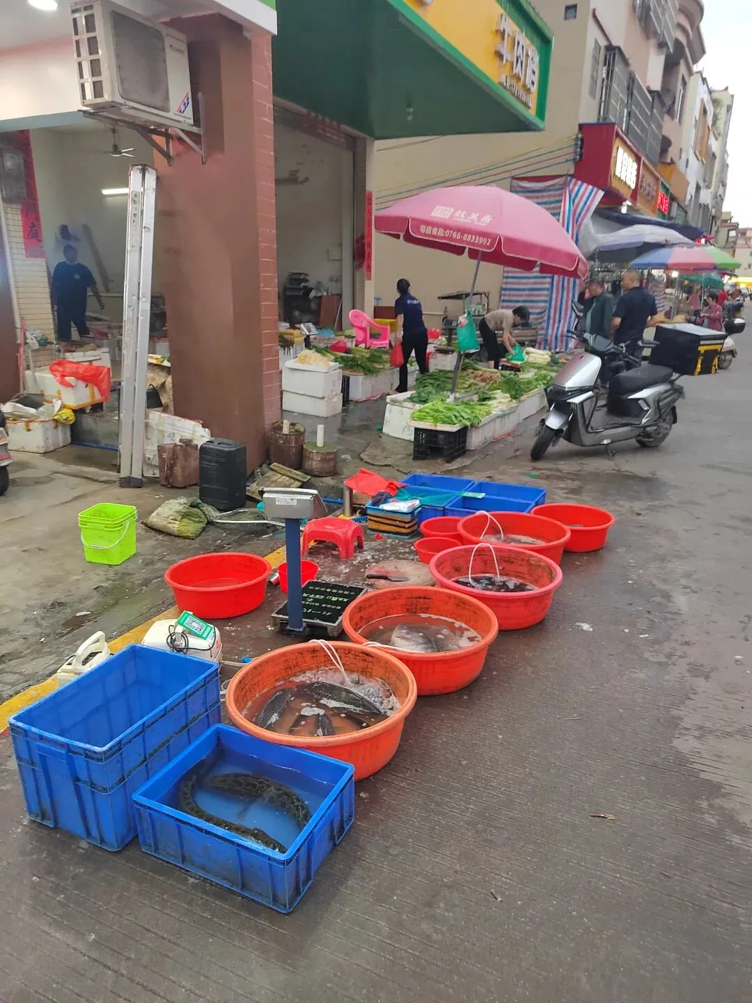 新兴稔村市场-杂记