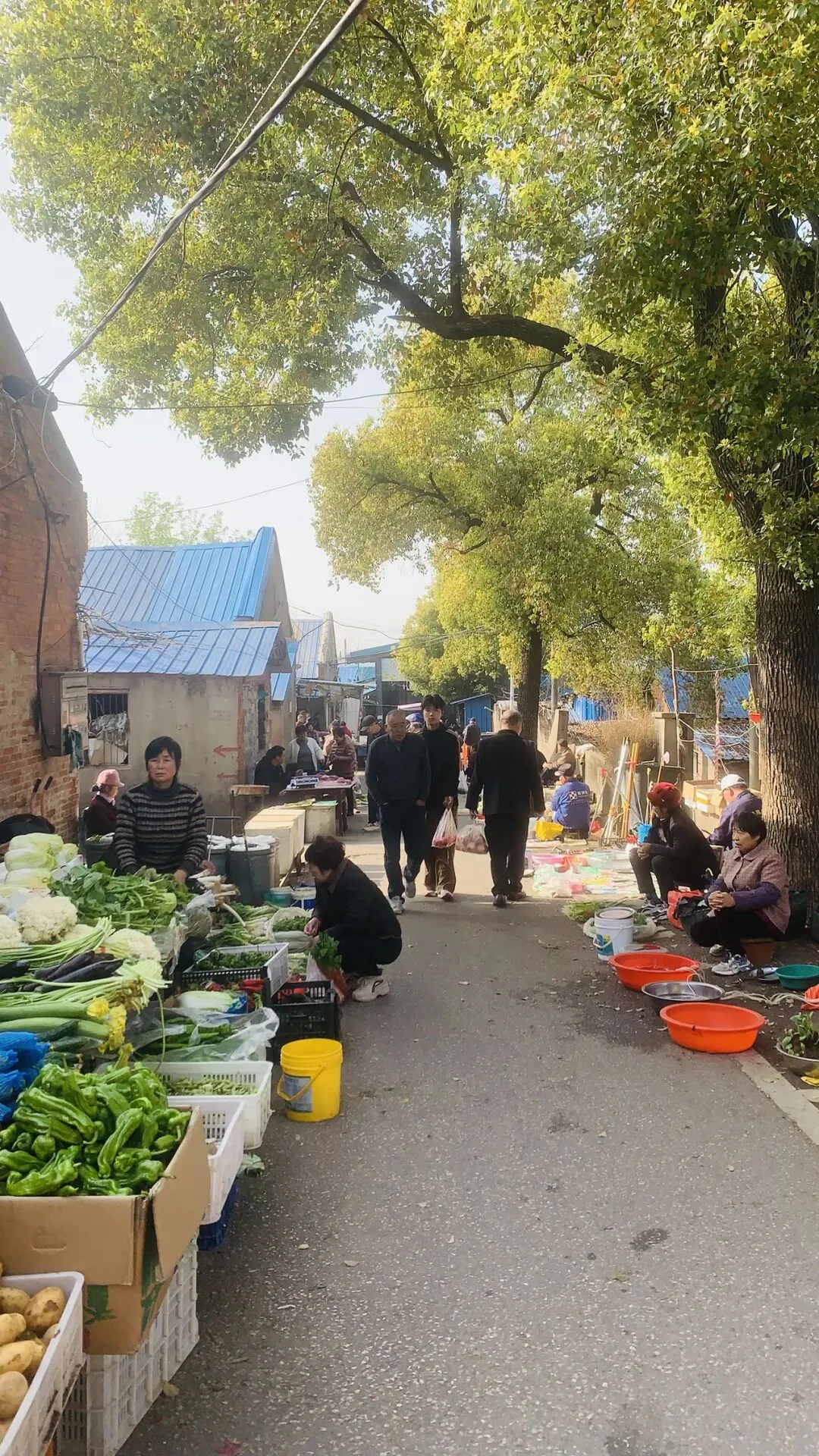 《东关农贸市场》