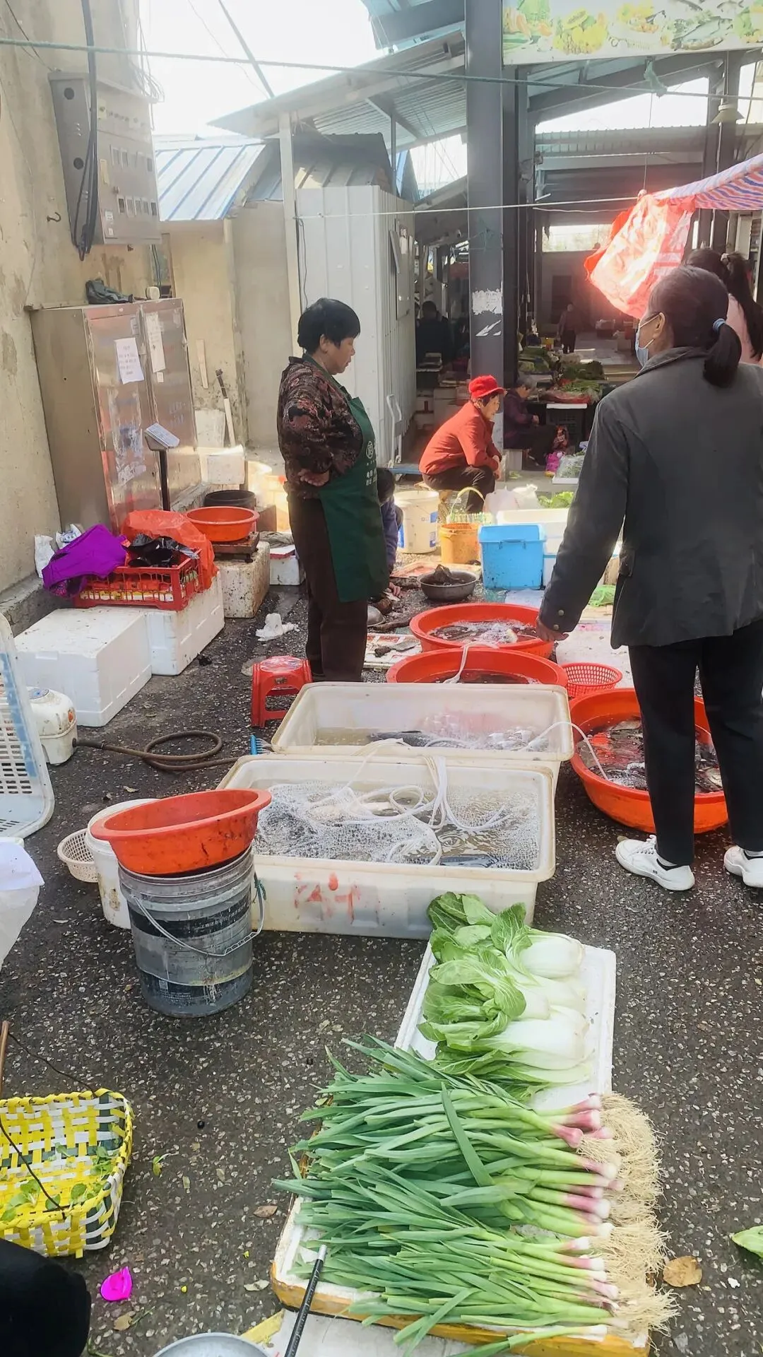 《东关农贸市场》