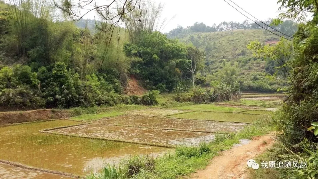 新兴稔村市场-杂记