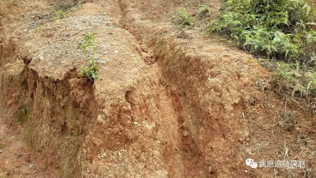 新兴稔村市场-杂记