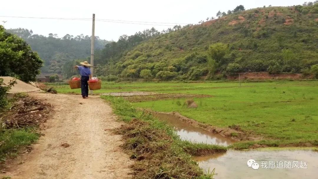 新兴稔村市场-杂记