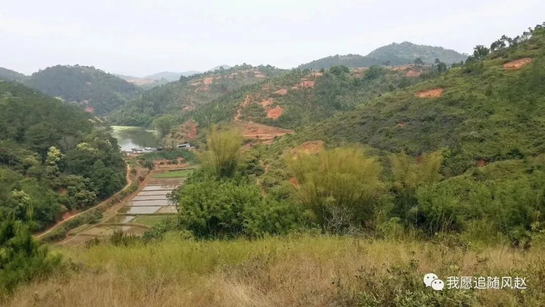 新兴稔村市场-杂记