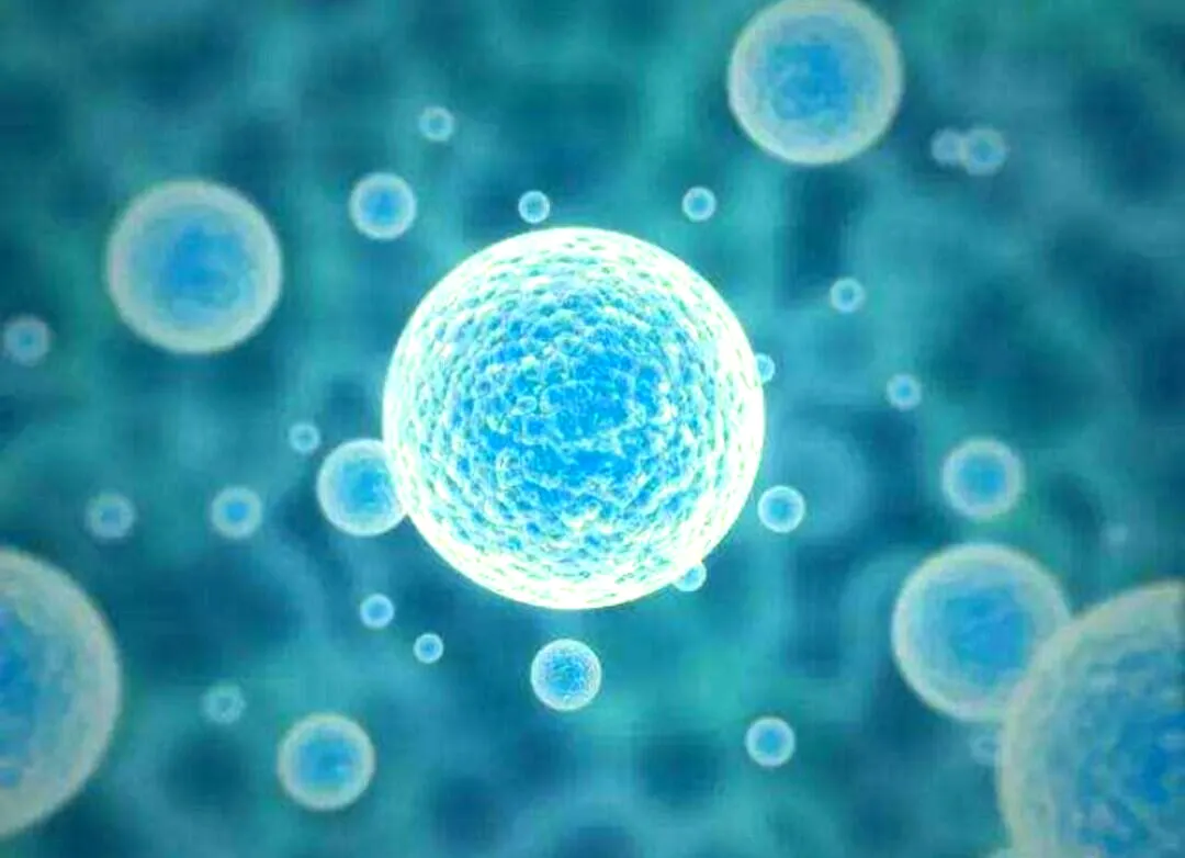 美媒很困惑:阿斯麦中国市场份额暴跌,被干掉的怎么全是欧美人?