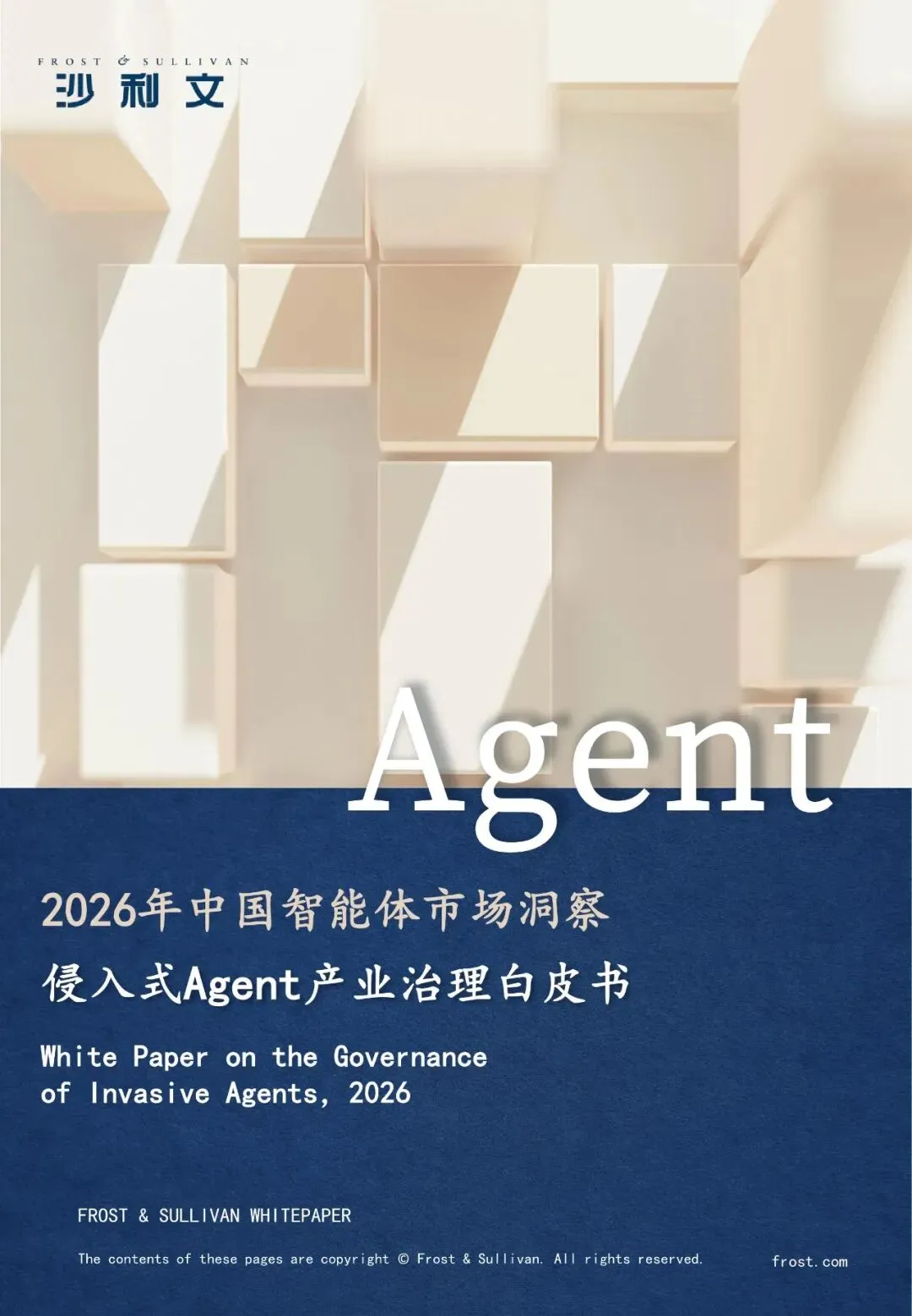 2026年中国智能体市场洞察