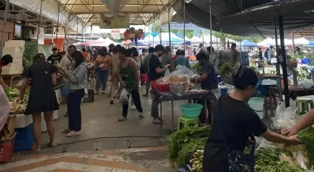 1株也不能卖!云南玉溪农贸市场惊现4株“金毛狗”,涉事小贩被抓