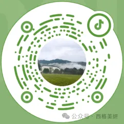 奥芮佳(Orega)学术赋能+市场落地,共推再生抗衰规范化