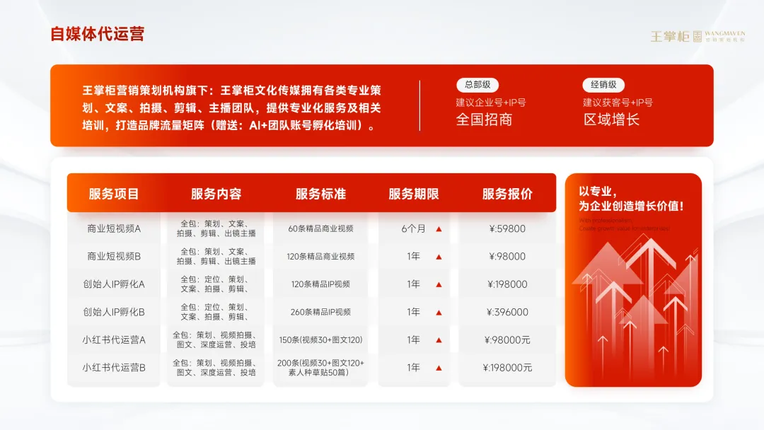 《王掌柜战略营销咨询服务介绍》