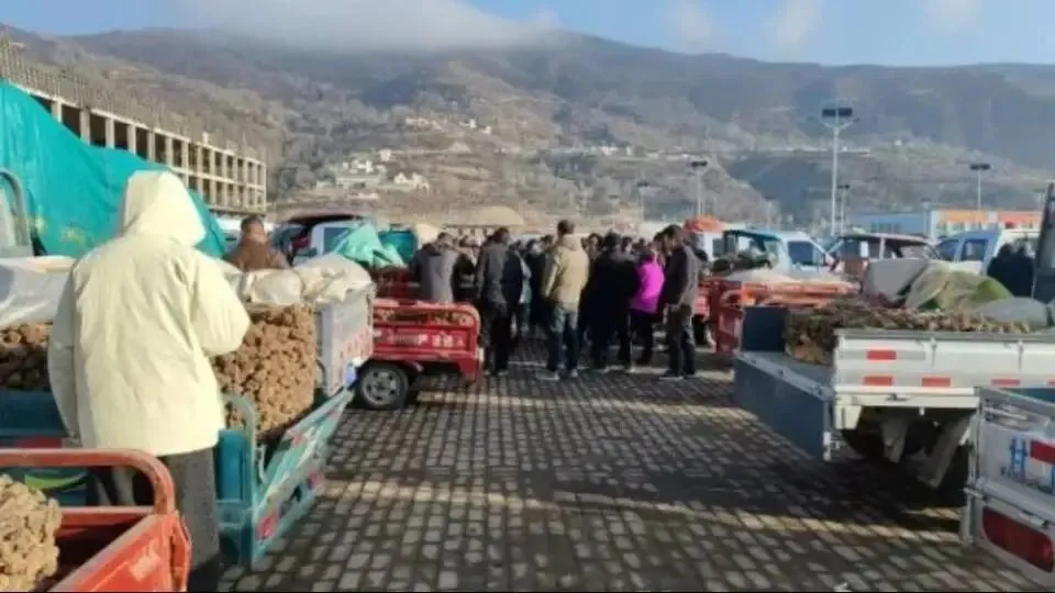 大家好,今日3月29日岷县当归城中药材市场行情详情