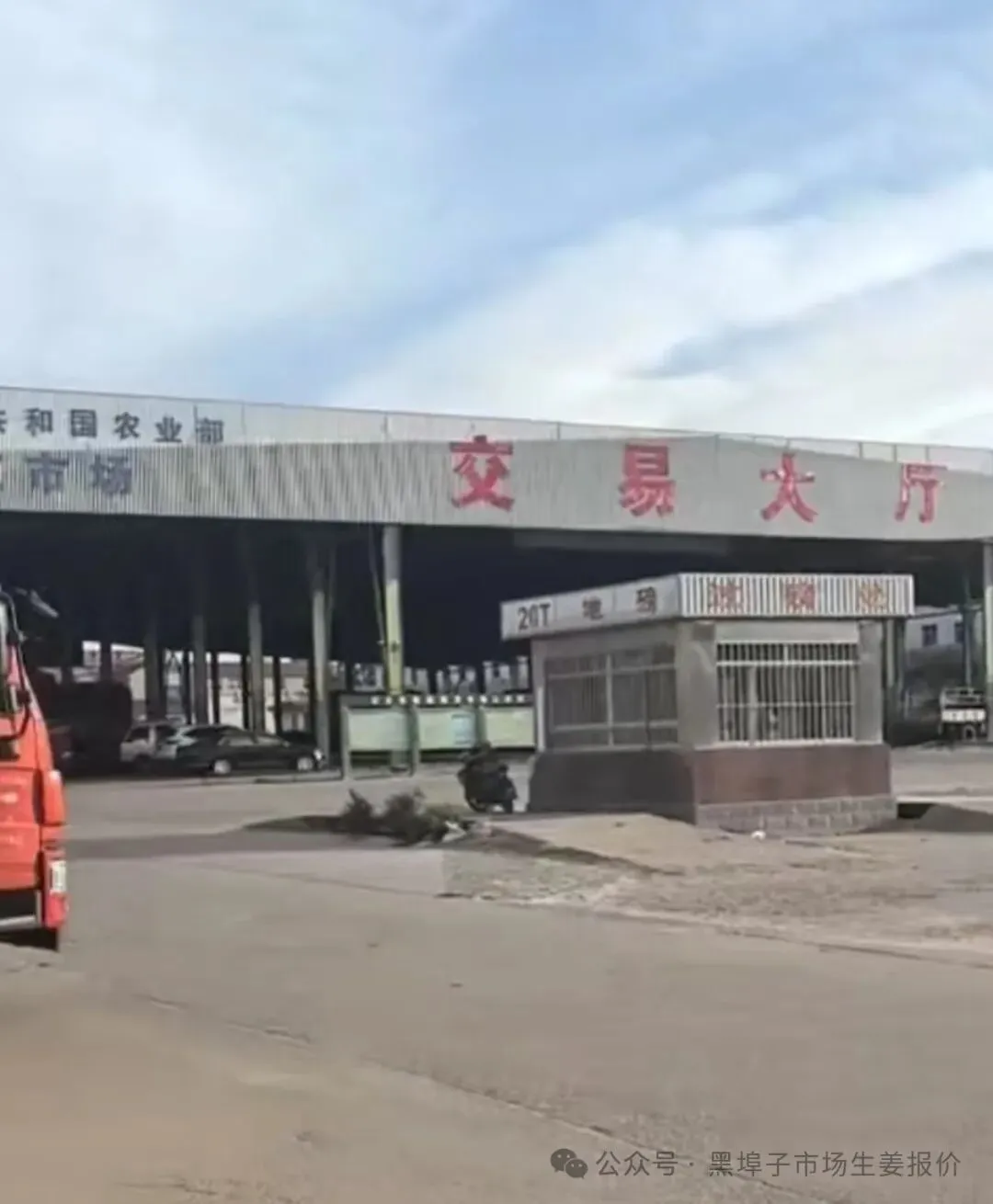 3月29号中午,黑埠子泥姜市场截止11点30市场上货不多.价格平稳,耘上免费开户而且给红包