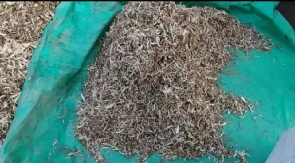 大家好,今日3月29日岷县当归城中药材市场行情详情