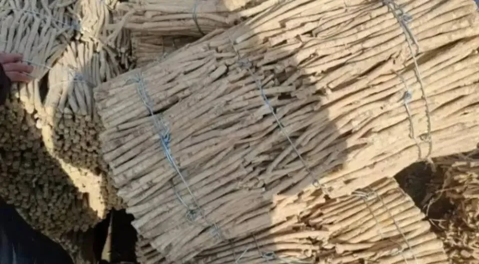 大家好,今日3月29日岷县当归城中药材市场行情详情