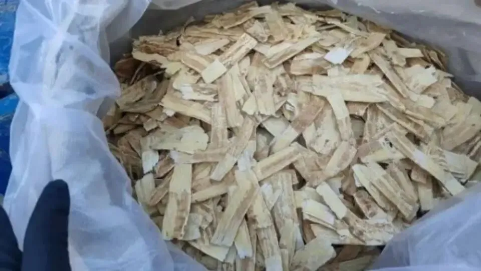 大家好,今日3月29日岷县当归城中药材市场行情详情