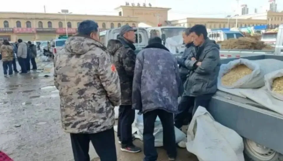 大家好,今日3月29日岷县当归城中药材市场行情详情