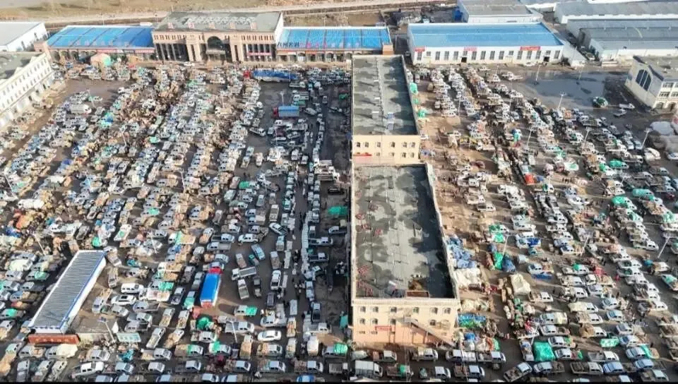 大家好,今日3月29日岷县当归城中药材市场行情详情