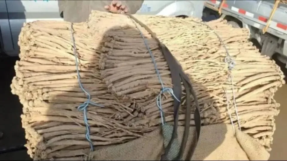 大家好,今日3月29日岷县当归城中药材市场行情详情