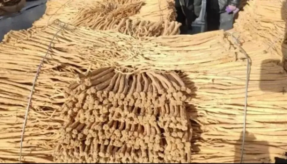 大家好,今日3月29日岷县当归城中药材市场行情详情