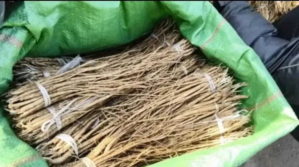 大家好,今日3月29日岷县当归城中药材市场行情详情