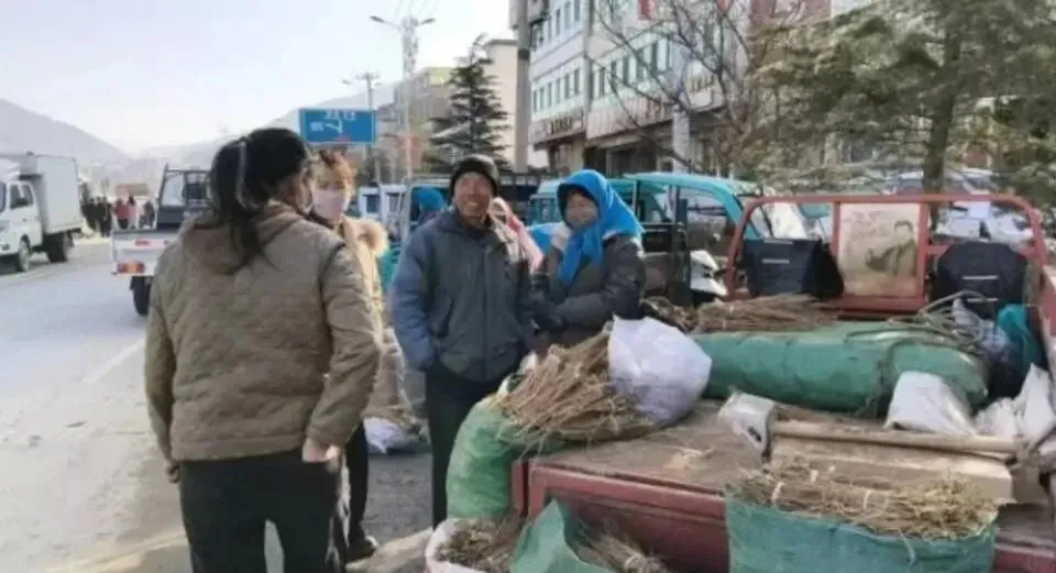 大家好,今日3月29日岷县当归城中药材市场行情详情