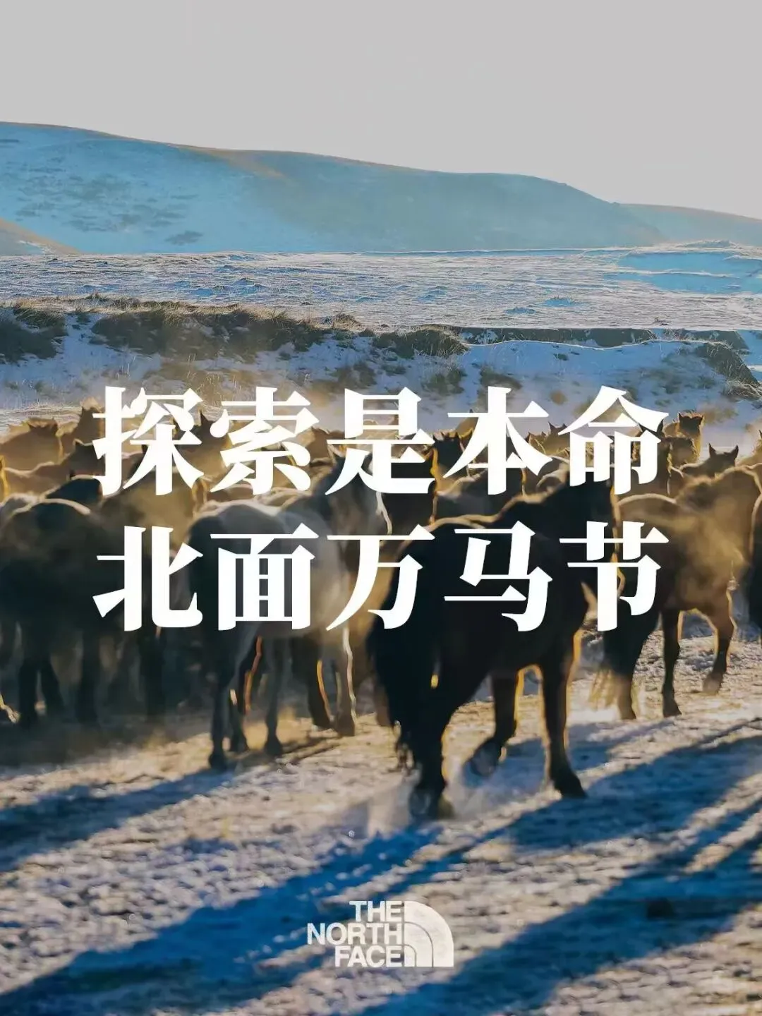 七大营销赛道,50 家实力广告公司招人 | 春季招聘潮