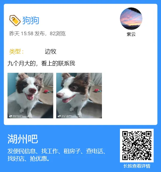 【湖州吧,房东出租】出租湖州花鸟市场沿街商铺,两开间共两层,面积楼上楼下各110平方米,一共220平方.