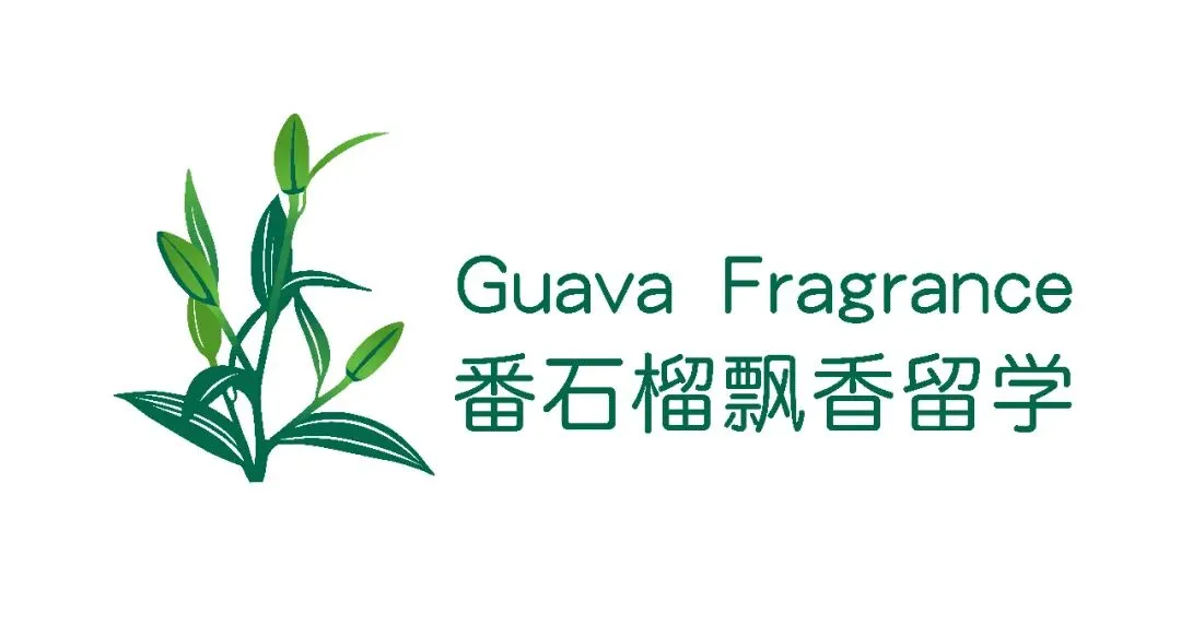 拥有132万律师的美国法律市场规模有多大:2025年达3049亿美元,2034年预计4664亿美元,民诉与知识产权领域占主要份额