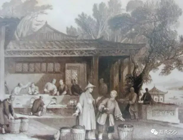 看福州茶叶市场上的这些博弈,或许你会明白中国茶叶贸易的兴衰缘由