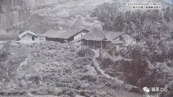 看福州茶叶市场上的这些博弈,或许你会明白中国茶叶贸易的兴衰缘由